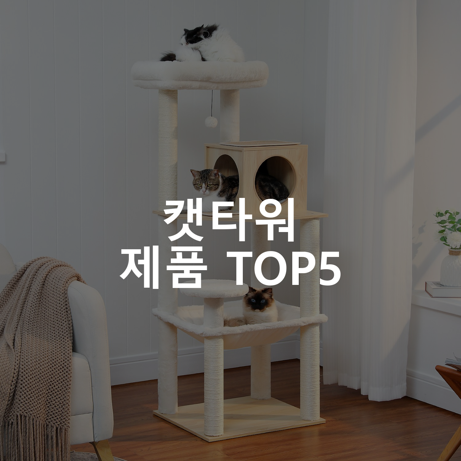 캣타워 제품 TOP5 추천 아이템