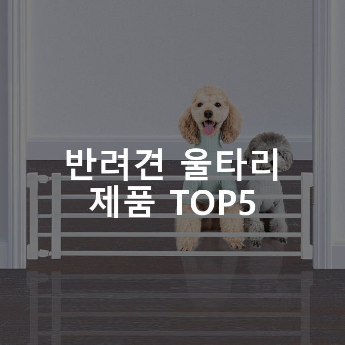 반려견 울타리 제품 TOP5 추천 아이템