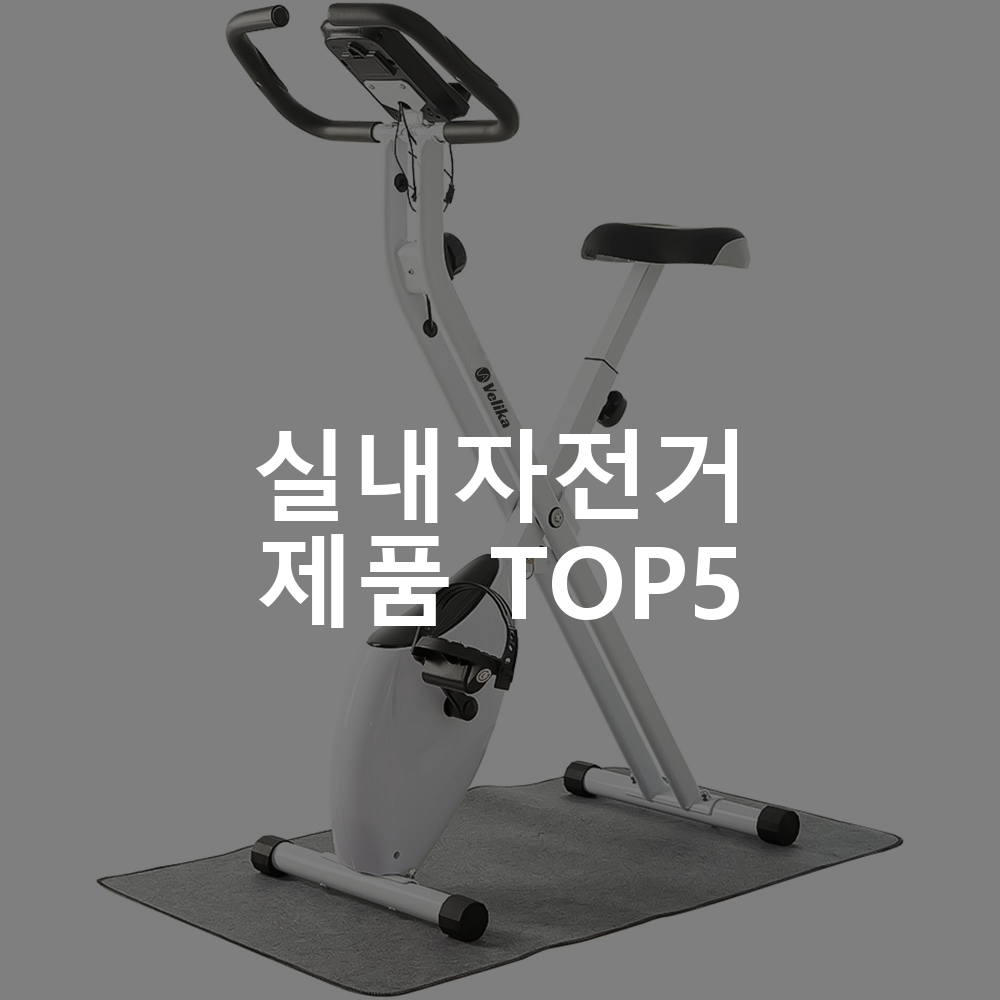 실내자전거 제품 TOP5 추천 아이템