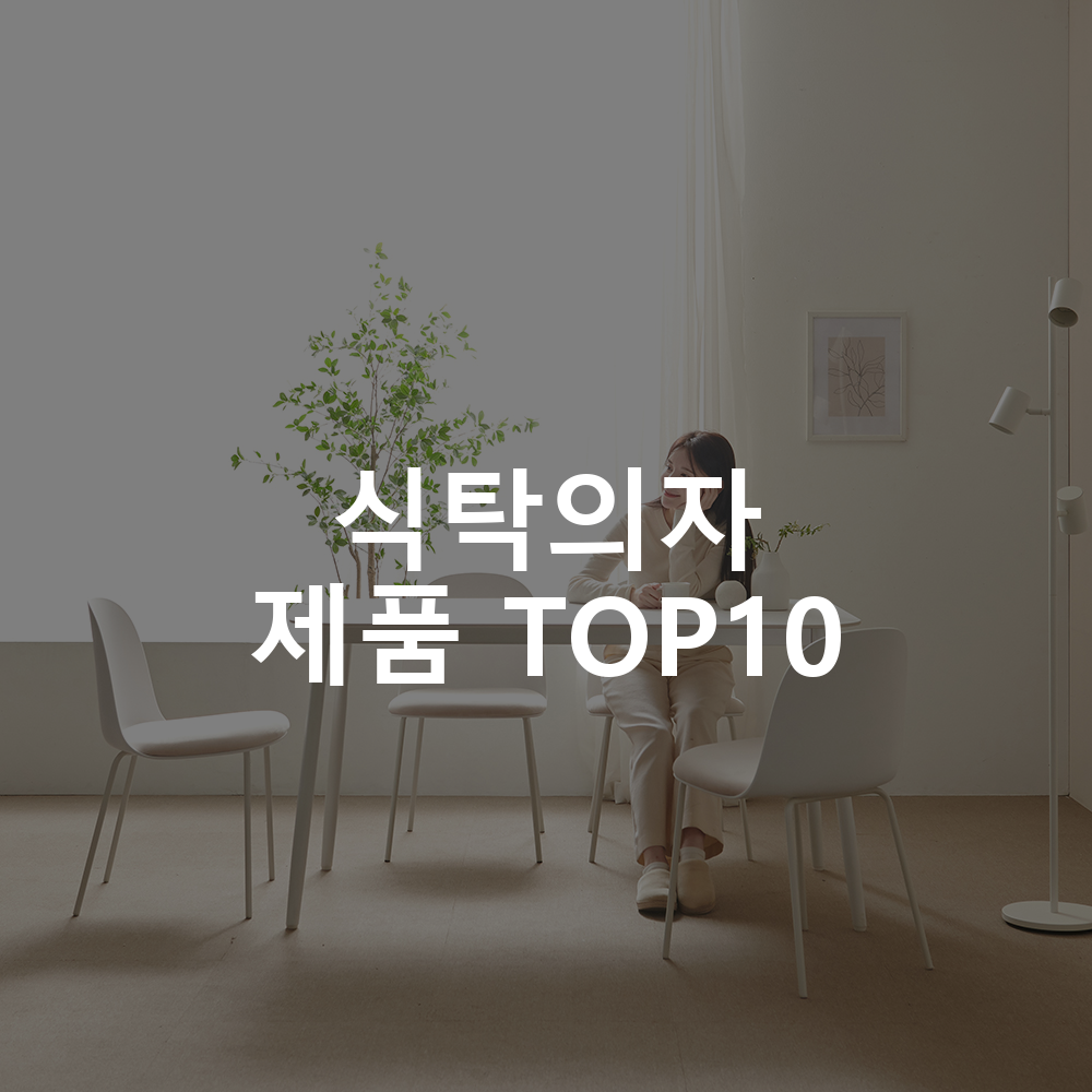 식탁의자 제품 TOP10 추천 아이템