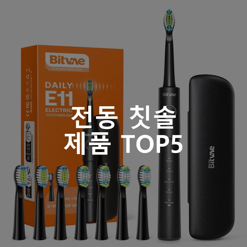 비트베이 E11 전동칫솔 가성비 진동칫솔 칫솔모8개포함 Bitvae Amazon베스트 전동 칫솔