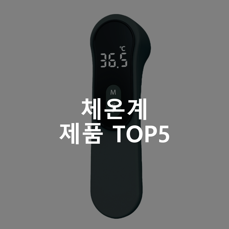 체온계 제품 TOP5 추천 아이템