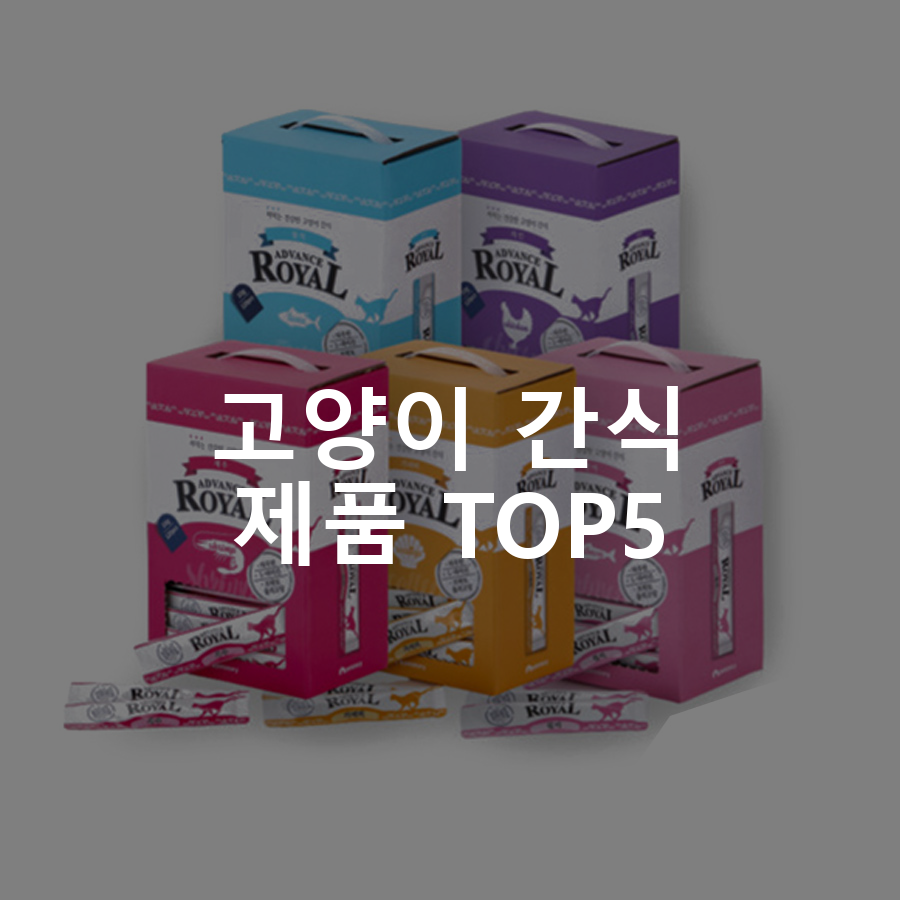 고양이 간식 제품 TOP5 추천 아이템