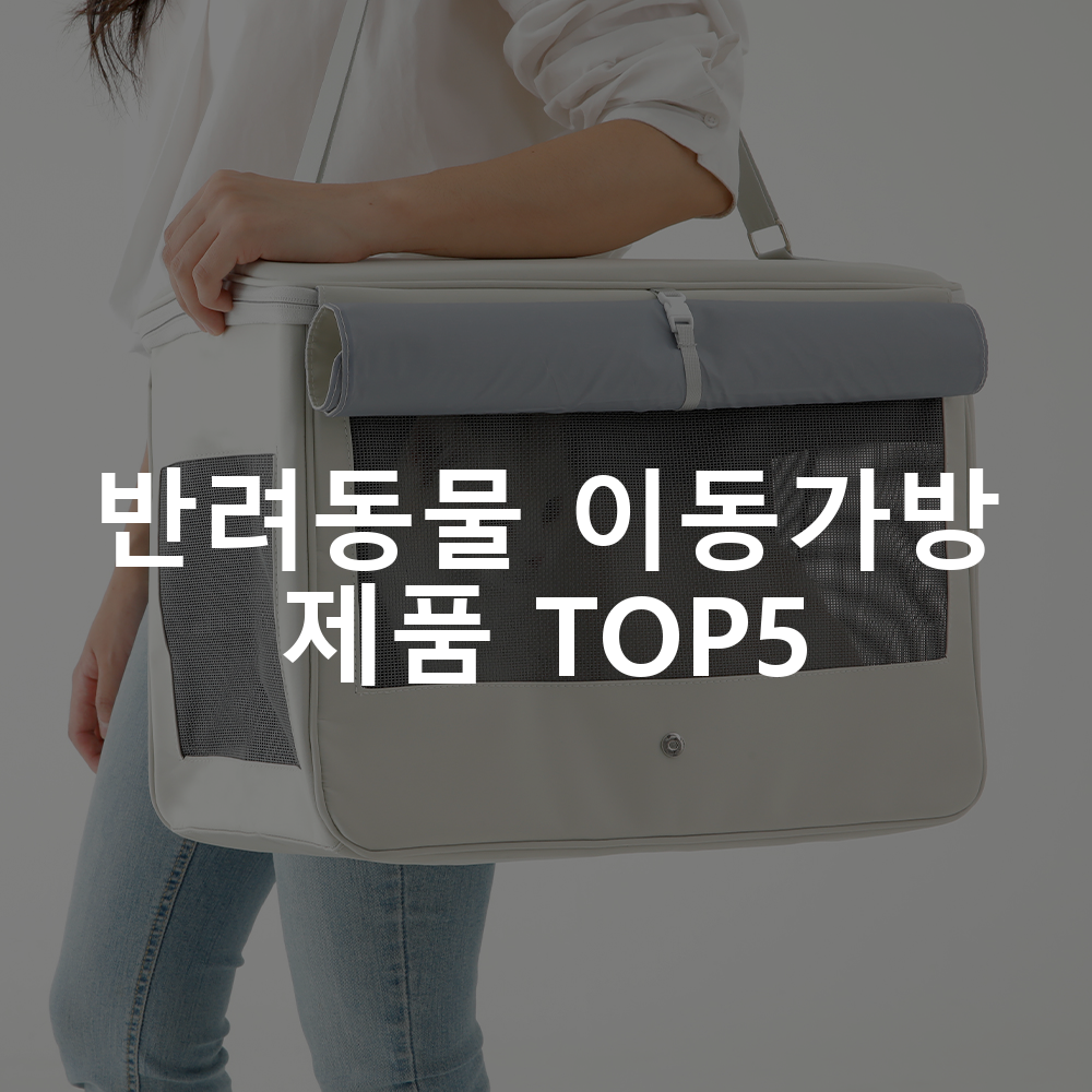 반려동물 이동가방 제품 TOP5 추천 아이템