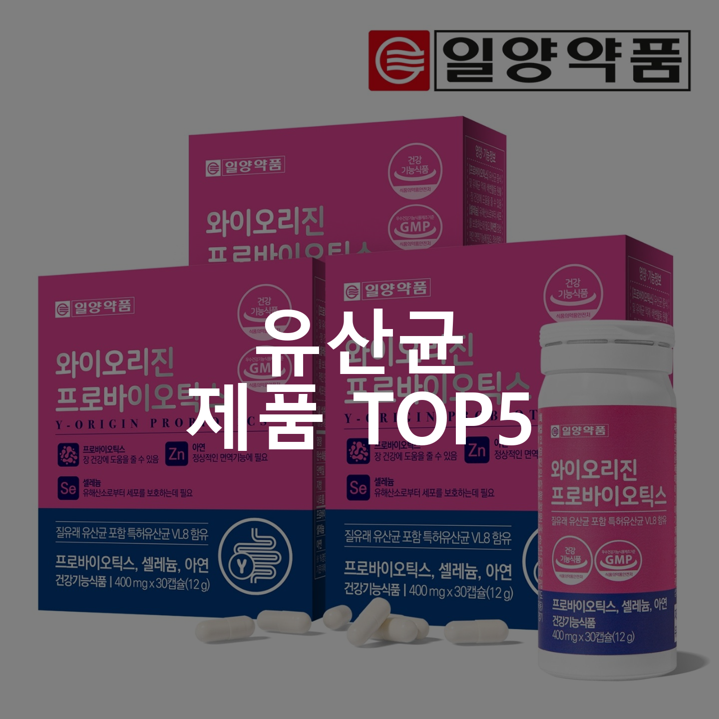 유산균 제품 TOP5 추천 아이템