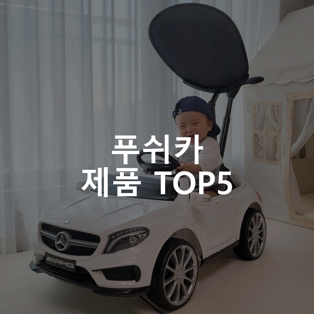 푸쉬카 제품 TOP5 추천 아이템