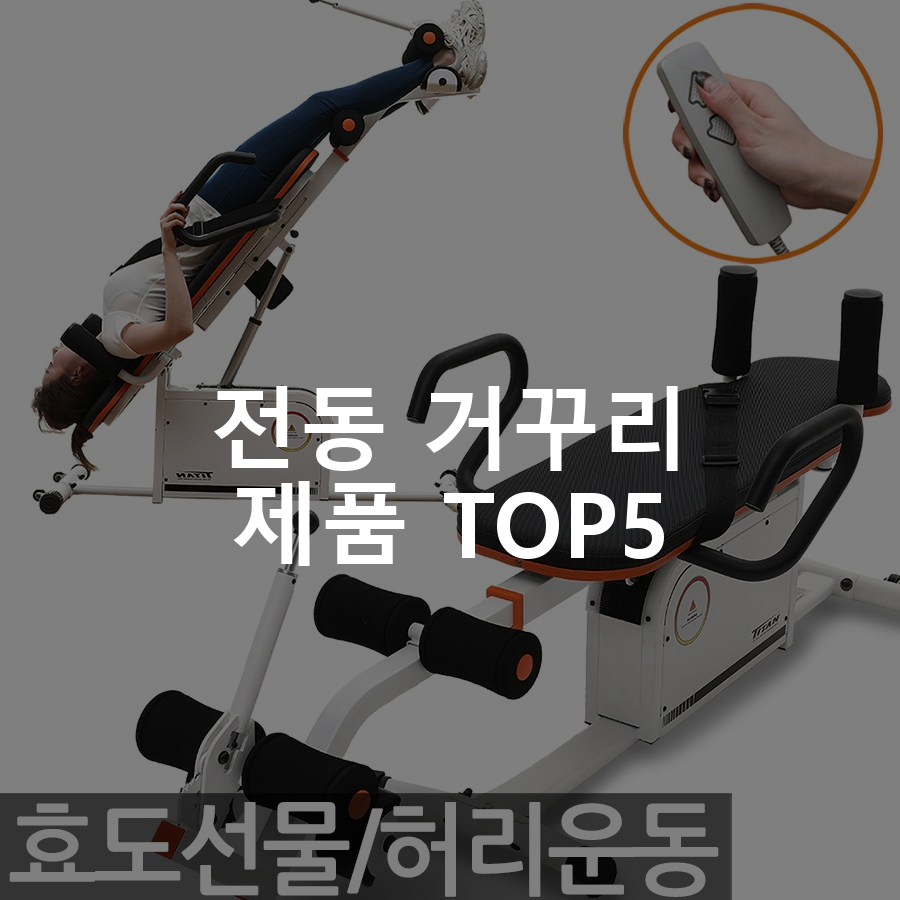 전동 거꾸리 제품 TOP5 추천 아이템