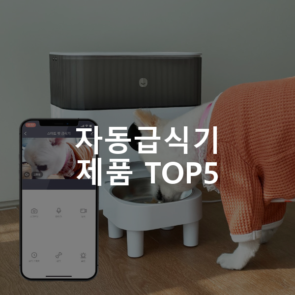 자동급식기 제품 TOP5 추천 아이템