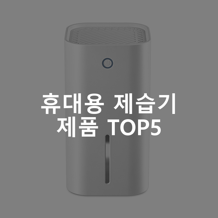 휴대용 제습기 제품 TOP5 추천 아이템