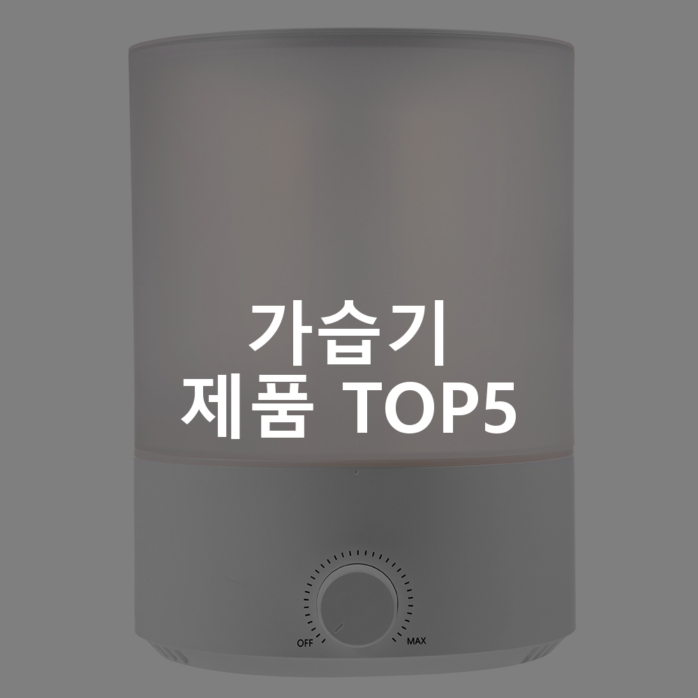 가습기 제품 TOP5 추천 아이템